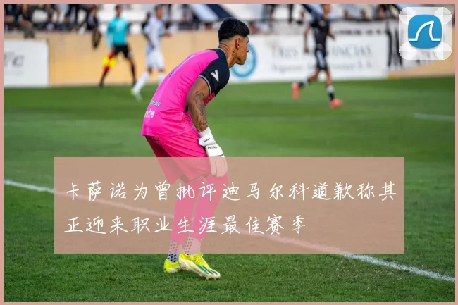 卡萨诺为曾批评迪马尔科道歉称其正迎来职业生涯最佳赛季