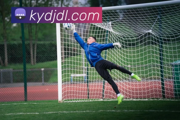 开云电竞App下载平台生态图