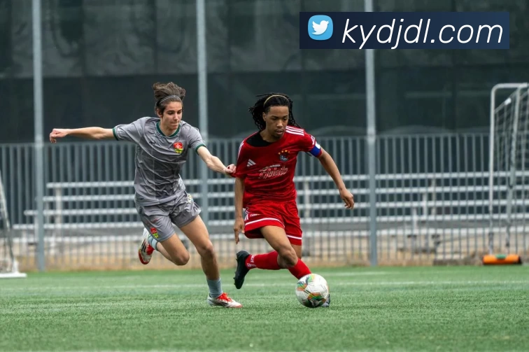 数据防护可视化